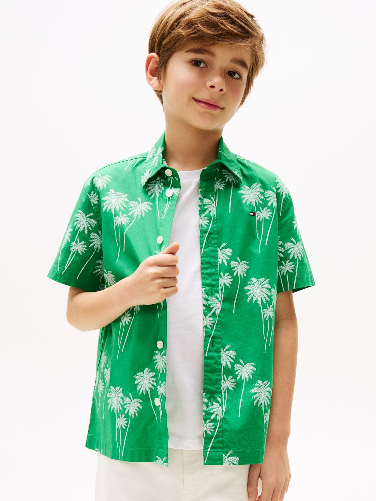 Green Palm Print